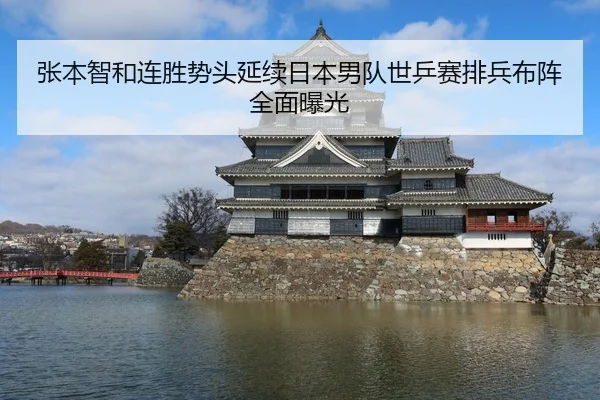 张本智和连胜势头延续日本男队世乒赛排兵布阵全面曝光